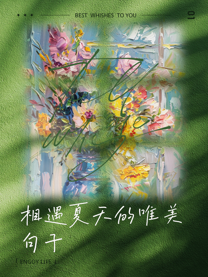 关于遇见的唯美句子